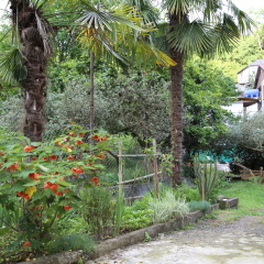 Semya Guest House in Sukhum, Abkhazia from 29$, photos, reviews - zenhotels.com photo 17