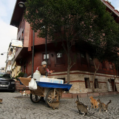 Dersaadet Hotel Istanbul - Bild 16