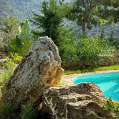 Z-Villas Beach Hotel - Bild 14
