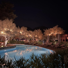 Z-Villas Beach Hotel - Bild 16