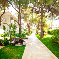 Rose Garden Premium Hotel - Bild 17