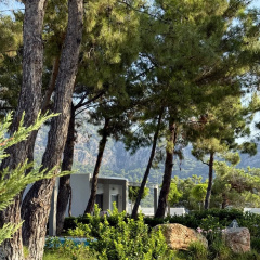 Z-Villas Beach Hotel - Bild 15