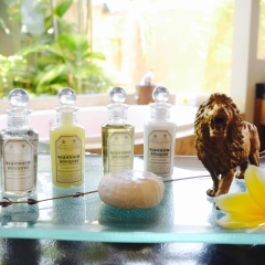 The Shanti Residence Resort - Bild 3