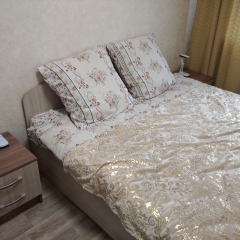 Апартаменты на Вознесенской 80 в Йошкар-Оле отзывы, цены и фото номеров - забронировать гостиницу на Вознесенской 80 онлайн Йошкар-Ола фото 11