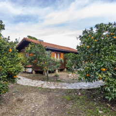 Holiday House dilek çıralı Living quarters - Bild 5