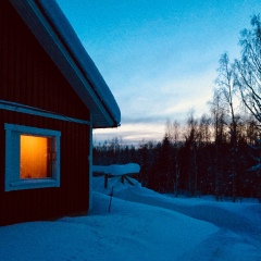 Mannimaatila Teralux Guest House in Punkaharju, Finland from 148$, photos, reviews - zenhotels.com photo 2