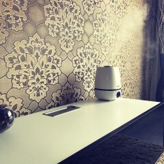 Апартаменты Vip Apartments в Белокурихе отзывы, цены и фото номеров - забронировать гостиницу Vip Apartments онлайн Белокуриха фото 4
