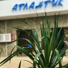 Мини-отель Атлантик в Утёсе отзывы, цены и фото номеров - забронировать гостиницу Мини-отель Атлантик онлайн Утёс фото 12