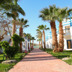 Hostgool Beach Mirage Bay Resort & Aqua Park Resort - Bild 19