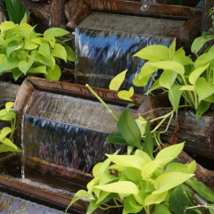 Patong Mansion Hotel - Bild 29