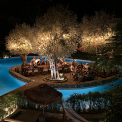 Z-Villas Beach Hotel - Bild 9