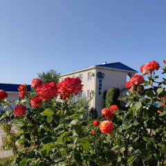 Andre Hotel