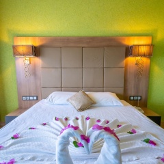 City Live Hotel - Bild 9