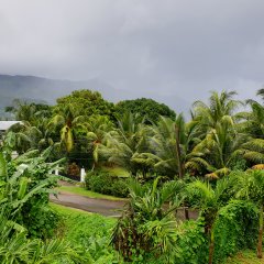 Green Park Guest House in Mahe Island, Seychelles from 243$, photos, reviews - zenhotels.com photo 14
