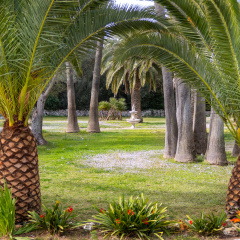 Finca Predio Son Serra Hotel - Bild 17