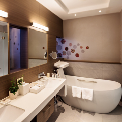 Гостиница Ibis Styles в Красной Поляне отзывы, цены и фото номеров - забронировать гостиницу Ibis Styles онлайн Красная Поляна фото 14