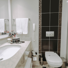 New Park Hotel - Bild 9