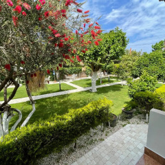 Alican Pension Mini-hotel - Bild 12