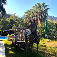 Terra Garden Hotel - Bild 15