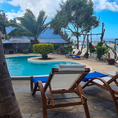 Five Palms Hotel in Uroa, Tanzania from 154$, photos, reviews - zenhotels.com photo 25