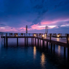 Allium Bodrum Resort & Spa - Bild 28