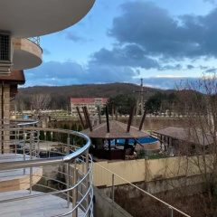Новомихайловский отель форд