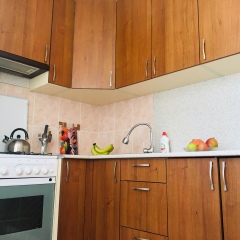 Гостиница Southern City Flat в Ставрополе отзывы, цены и фото номеров - забронировать гостиницу Southern City Flat онлайн Ставрополь фото 10