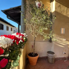 Hotel Botticelli - Bild 19