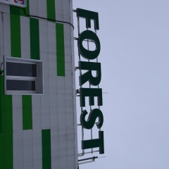 Гостиница Forest Hotel в Елизове отзывы, цены и фото номеров - забронировать гостиницу Forest Hotel онлайн Елизово фото 5