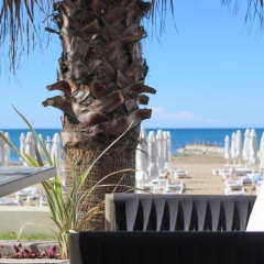Paloma Perissia Hotel - Bild 3
