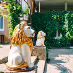 Гостиница Гостевой дом Lion в Коктебеле отзывы, цены и фото номеров - забронировать гостиницу Гостевой дом Lion онлайн Коктебель фото 12