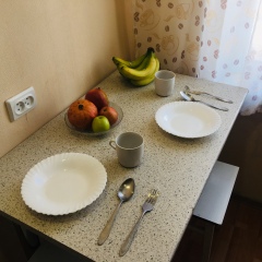 Гостиница Southern City Flat в Ставрополе отзывы, цены и фото номеров - забронировать гостиницу Southern City Flat онлайн Ставрополь фото 14