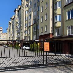 Гостиница Московская 60 в Зеленоградске отзывы, цены и фото номеров - забронировать гостиницу Московская 60 онлайн Зеленоградск фото 12