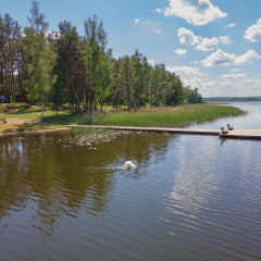 Бассейн 1