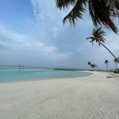 Courtyard Guesthouse Guest House in North Male Atoll, Maldives from 91$, photos, reviews - zenhotels.com photo 7