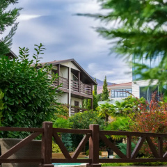 Dachi Recreation Club photo 4