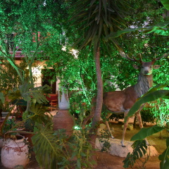 Hotel İstanköy - Bild 15
