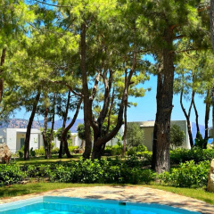 Z-Villas Beach Hotel - Bild 5