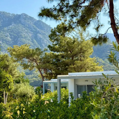 Z-Villas Beach Hotel - Bild 6