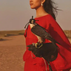 Four Seasons Dubai at Jumeirah Beach Resort thumbnail 6