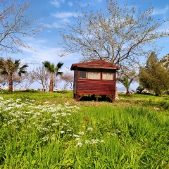 Butterfly Valley Glamping - Bild 4