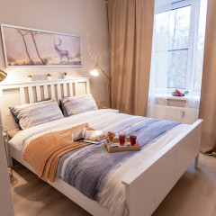 Апартаменты Kronstadt Apartments в Кронштадте отзывы, цены и фото номеров - забронировать гостиницу Kronstadt Apartments онлайн Кронштадт фото 3