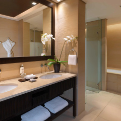 Anantara The Palm Dubai Resort Hotel thumbnail 17