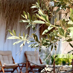 Z-Villas Beach Hotel - Bild 27