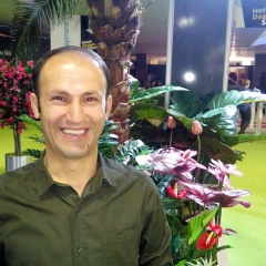 Gvar Apart-Hotel - Bild 2