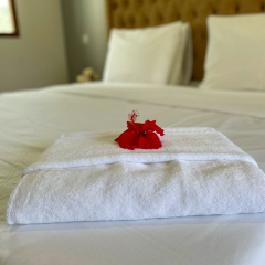 Five Palms Hotel in Uroa, Tanzania from 164$, photos, reviews - zenhotels.com photo 9