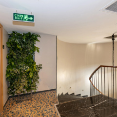 Pera Tulip Hotel - Bild 6