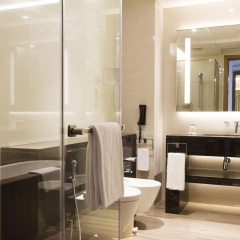 Hyatt Regency Dubai Creek Heights thumbnail 38