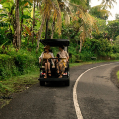 Resort Equipoise Resort & Spa Ubud Managed by Ini Vie Hospitality - Bild 6