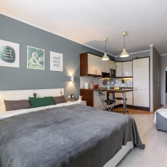 Гостиница Жилое помещение Green Gray Studio в Санкт-Петербурге отзывы, цены и фото номеров - забронировать гостиницу Жилое помещение Green Gray Studio онлайн Санкт-Петербург фото 6